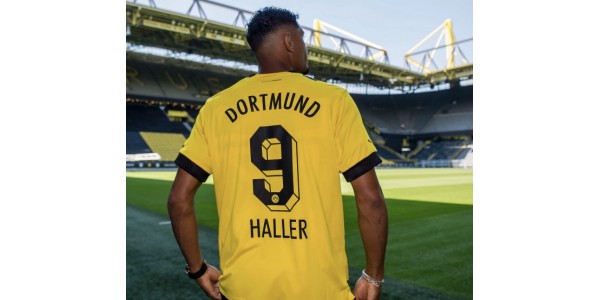 Haller dropper ud af træningslejren til terapi